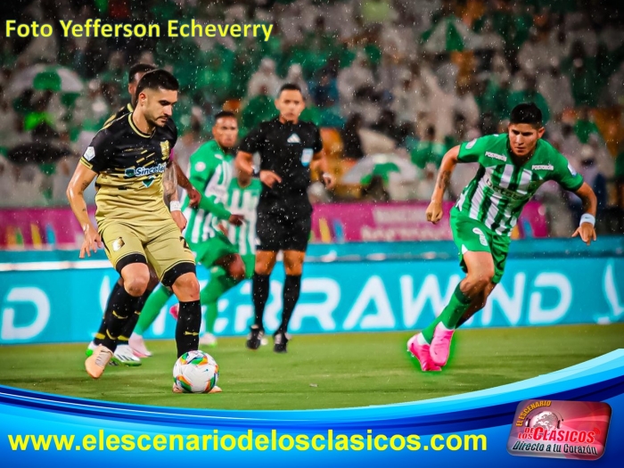 Empate entre verdes y y dorados