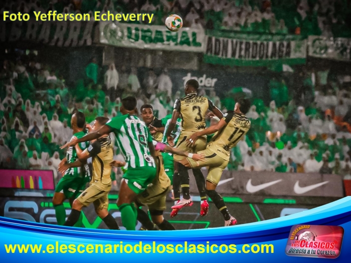 Empate entre verdes y y dorados