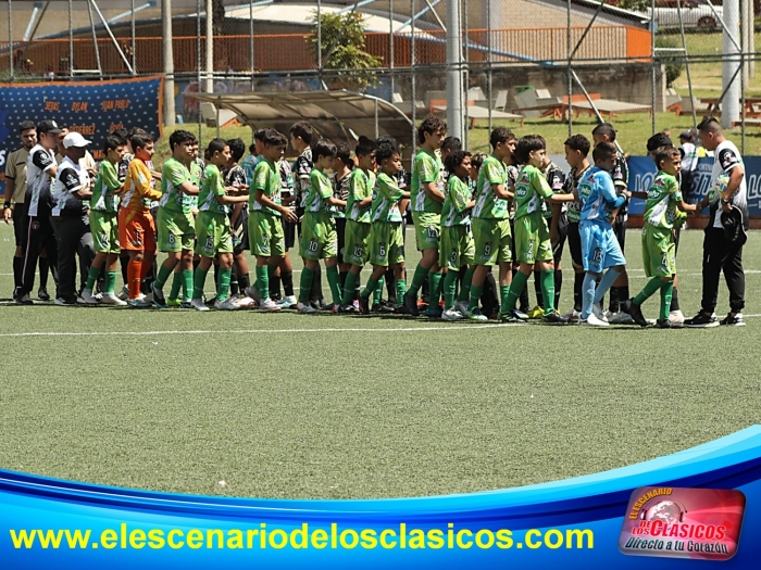 Baby Futbol Metropolitanio